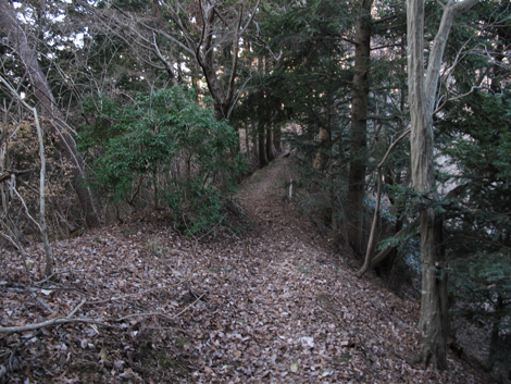 20190108hike (471)